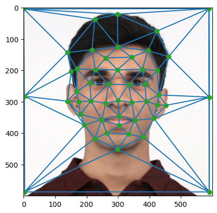 My Triangulation